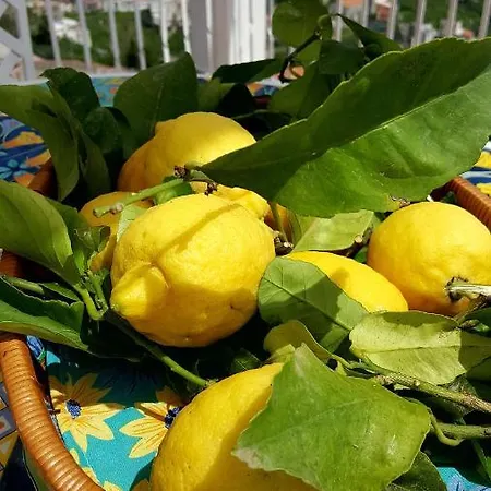 Апартаменты Casa Annunziata