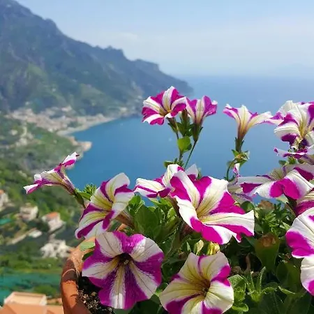 Апартаменты Casa Annunziata *